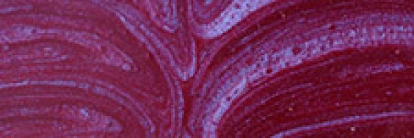Color Paste Metallic | HP-FMP